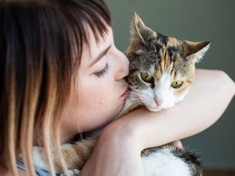 Guides and tips for take care of your cat