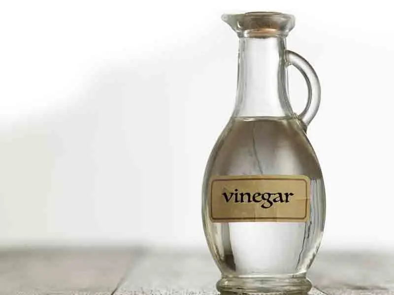 Vinegar Kill Mites 