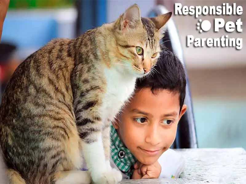Responsible Pet Parenting