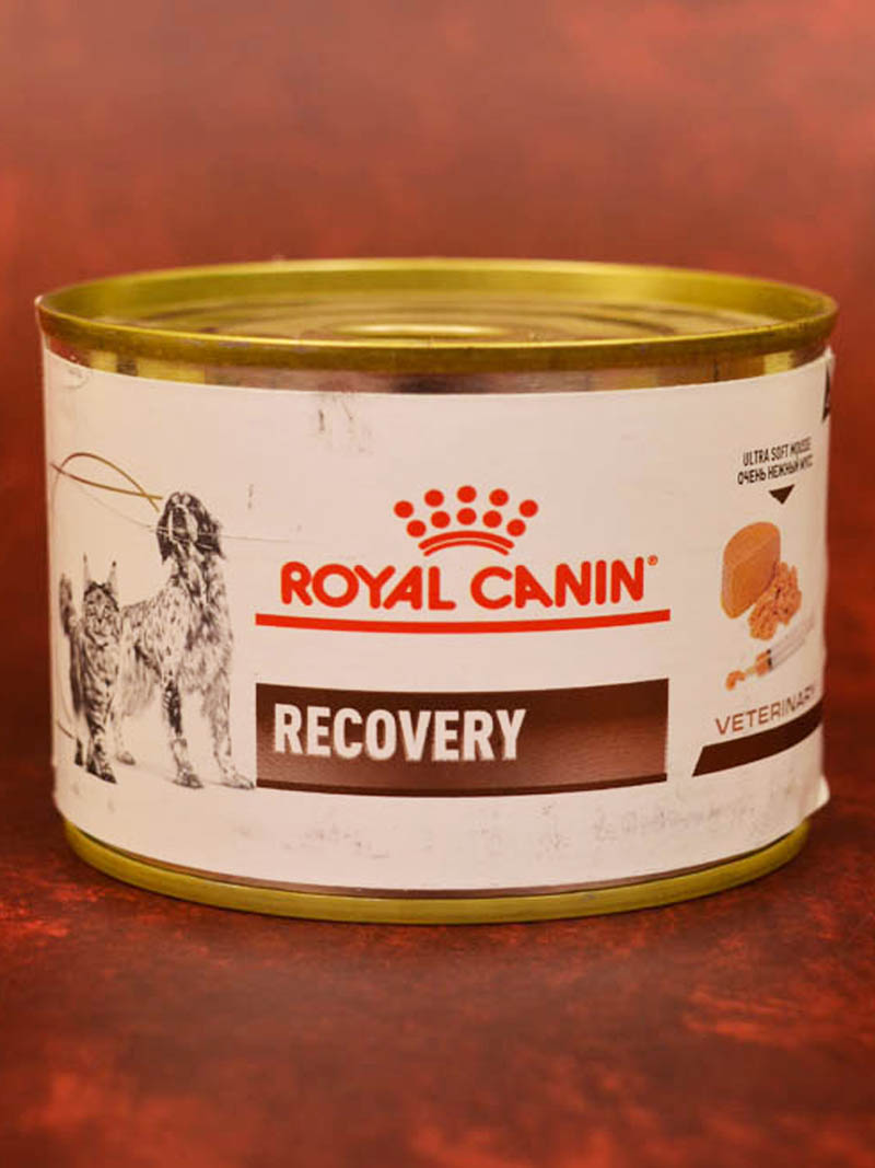 Hot Royal Canin Veterinary Diet Recovery Food For Urgent Care Of Dogs And  Cats (195g) Lazada PH